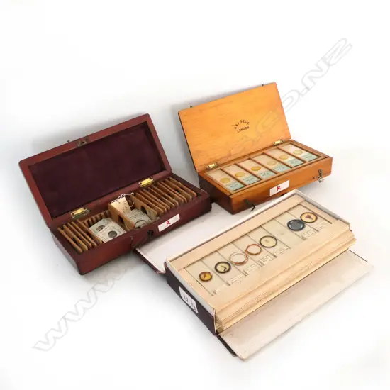 3 BOXES OF VINTAGE MICROSCOPIC SLIDES: GEOLOGY, ANIMAL & MARINE